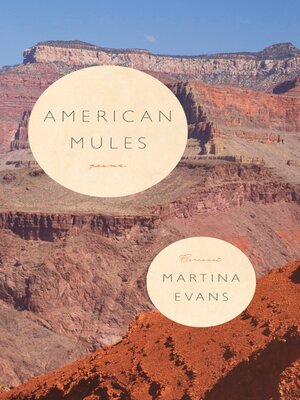 cover image of American Mules